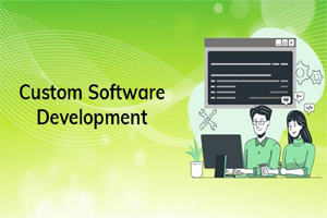 Costom Software Development