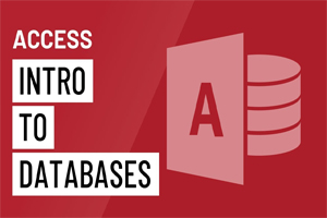 MICROSOFT ACCESS